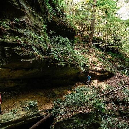 Dunlap Hollow A-Frame Rockbridge Екстериор снимка