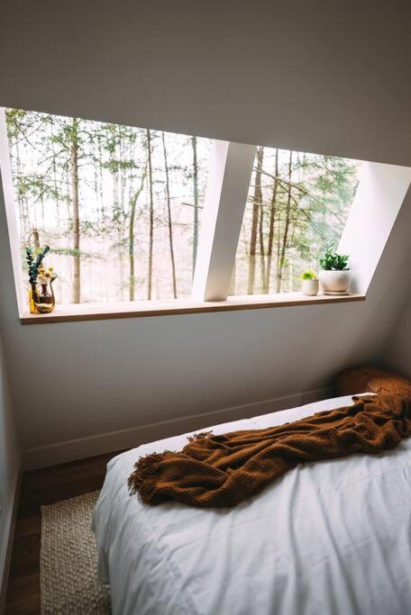 Dunlap Hollow A-Frame Rockbridge Екстериор снимка