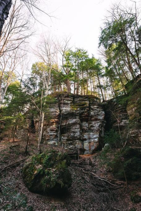Dunlap Hollow A-Frame Rockbridge Екстериор снимка