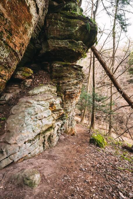 Dunlap Hollow A-Frame Rockbridge Екстериор снимка