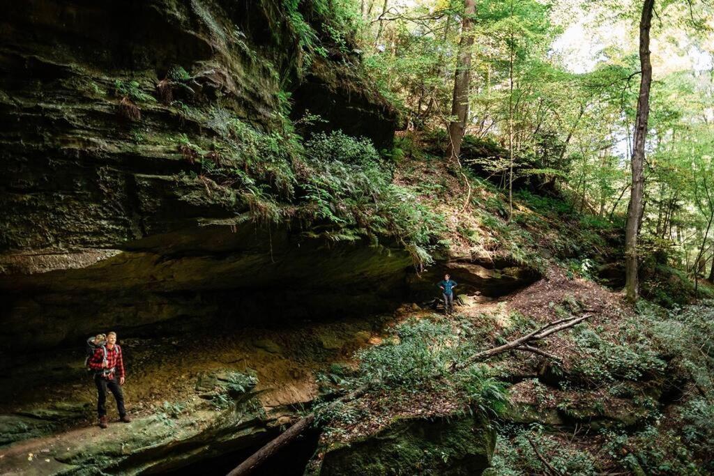 Dunlap Hollow A-Frame Rockbridge Екстериор снимка