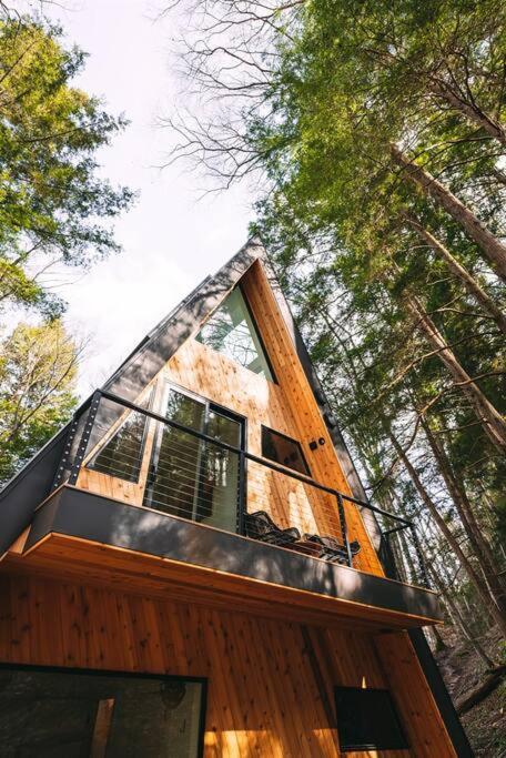 Dunlap Hollow A-Frame Rockbridge Екстериор снимка