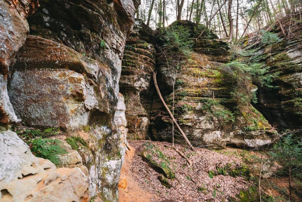 Dunlap Hollow A-Frame Rockbridge Екстериор снимка